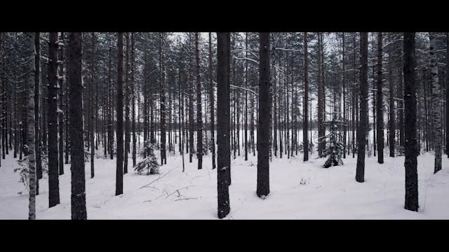 CORTO DORICO - Johanna Under The Ice - NOWNESS