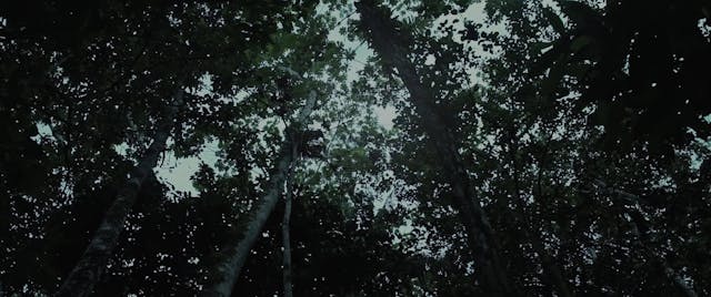 16 CORTO - EL SILENCIO