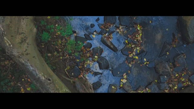 Elisa Rossetto - LIKE_NARCISO Roberto Maria Nesci - FILM