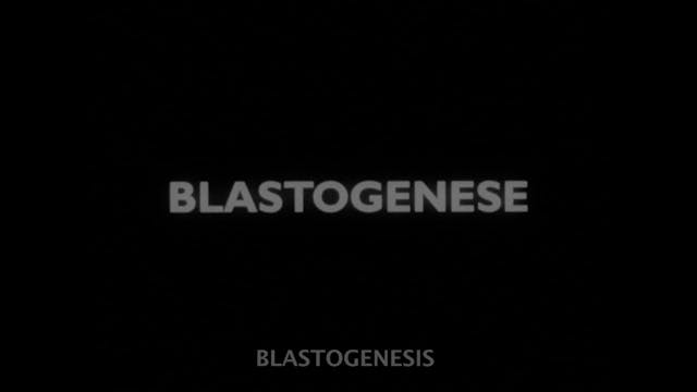 BIG 2021 - 10 BLASTOGENESIS - NO SUB