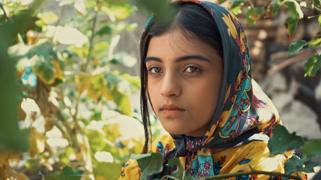 sala web GdA 79 - alone 