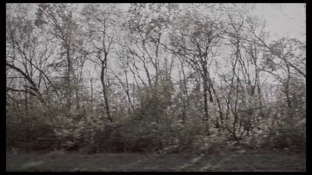 ARCHIVIO APERTO - VARCO CLEAN STEREO ...