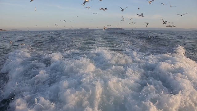 bergamo film meeting - My Piece of the Earth - Without Subtitles