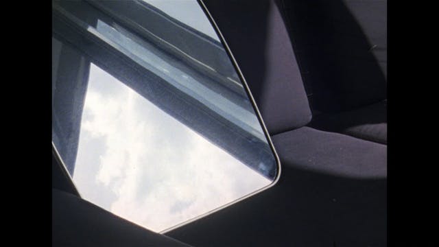 SCHERMO DELL'ARTE - Flowers Blooming In Our Throats