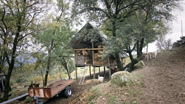 VENEZIA 78 GdA - Caveman_Venice