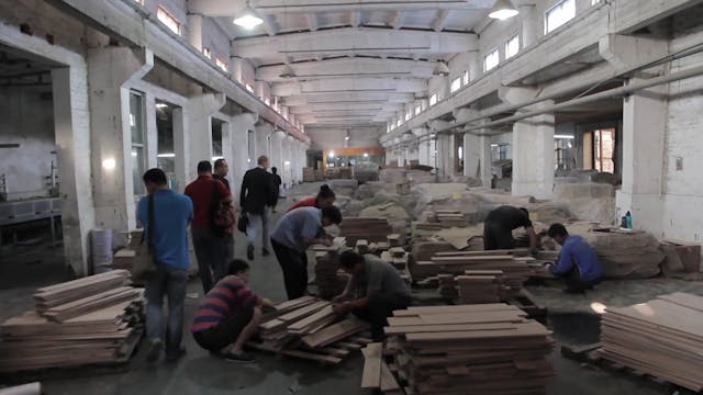 VISIONI DAL MONDO - WOOD