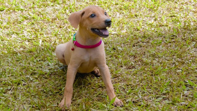 RIVER - RMO_108-SCREENER-FN-HD-20181211