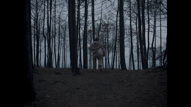 SHORTS - THE STRANGE HOUSE IN THE MIS...