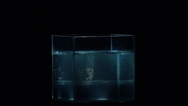 Luca Celani - Itaca per sempre 1080p 25FPS