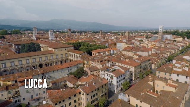 PIUCOMPAGNIA - MR_WONDERLAND