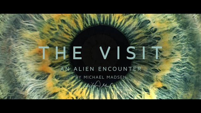IWONDERFULL - THE VISIT - ITA