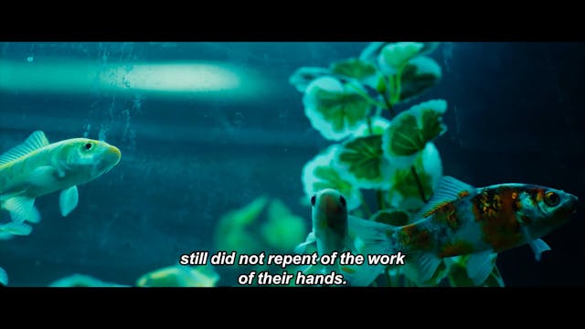 filming Italy LA 2022 - CHRISTIAN_Ep01_H264_1080p_25fps_SUBEN_20211015