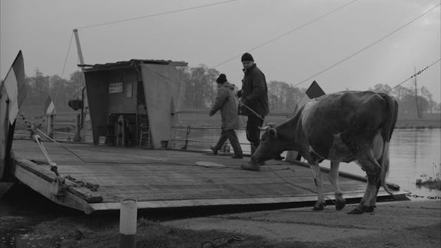 TERRE DA FESTIVAL - Beyond Is the Day (no subtitles) 1 GB