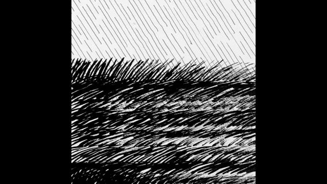 SHORTS - flic floc - shorter kids