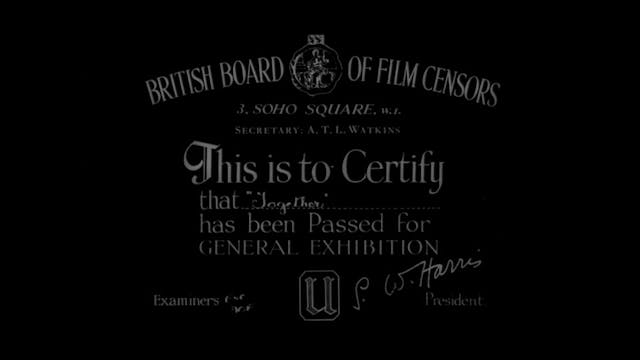 SGUARDI ALTROVE - Together