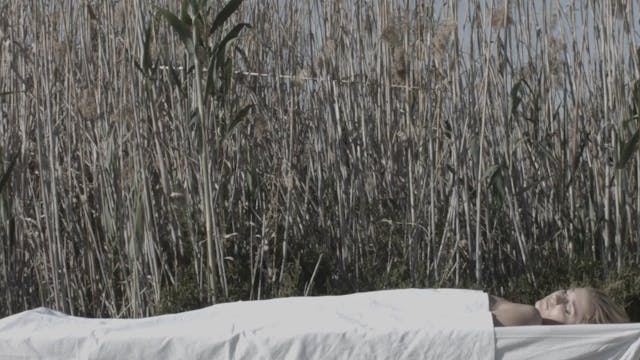 myreload - Paradis_Jaume_Quiles_C4L