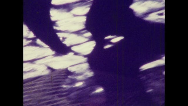 ARCHIVIO APERTO - Valentino Moon