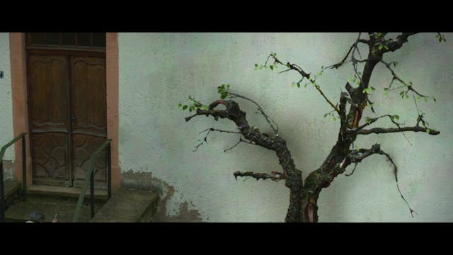 SHORTS - Portraitiste - maremetraggio #7