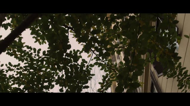 TRUECOLOURS - IO E LEI SUB SPA