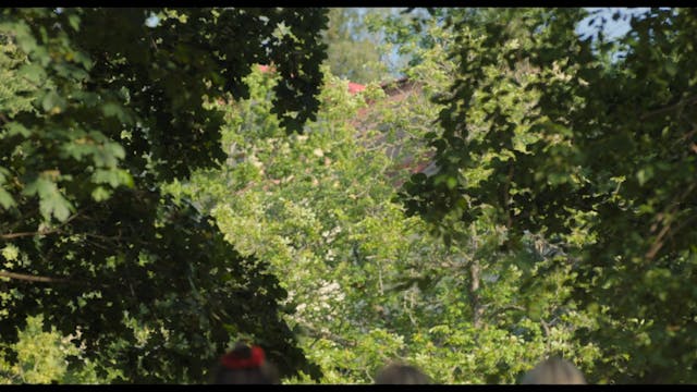 RIVIERA FILM FESTIVAL - Eden_24fps_HD_st_2020_06_02 (1)