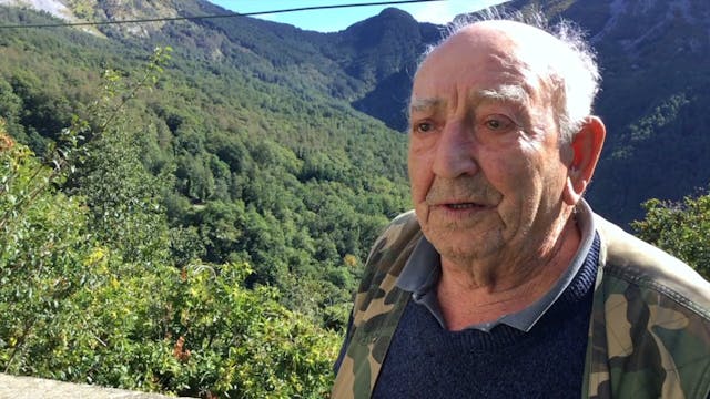 vittoria peace - Andrea Di Falco - CI SALVARONO GLI ALBERI_Ottimizzato