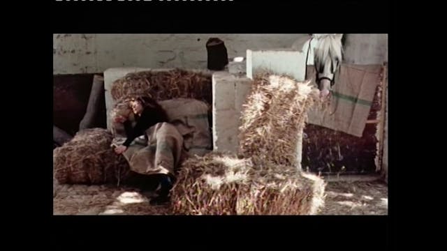 FONDAZIONE BIZZARRI - Francesca Romana Vagnoni - CRAJ