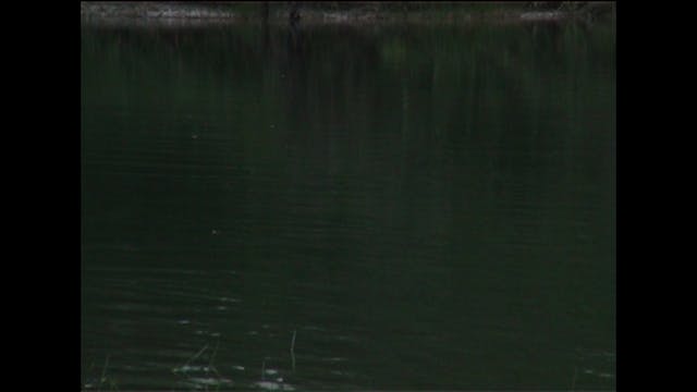 pesaro 2022 - G - 25fps - IFIII 022 chiara pinzauti