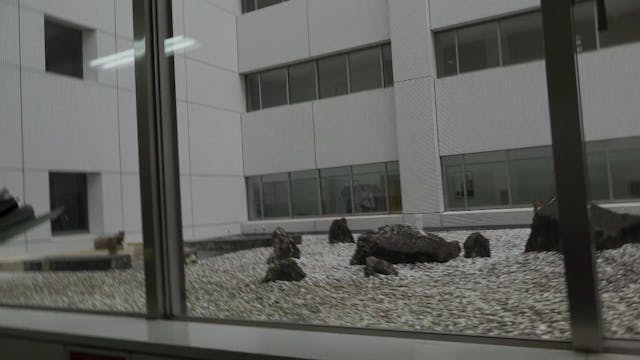 FEFF - I Documentary Of The Journalist