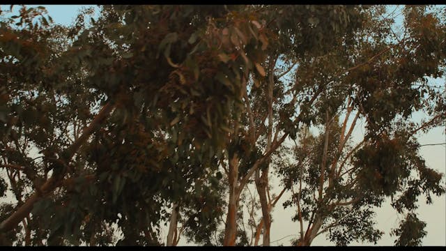 IWONDERFULL - CATTEDRALI SALK INSTITUTE - ITA