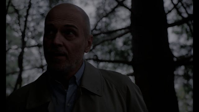 FI-PI-LI HORROR - Sempreverdi