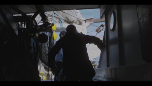 RETE CINEMA CALABRIA - Open Fields Productions - Amare Affondo