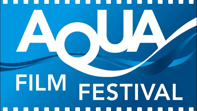 Aqua Film Festival Universi Aqua - Mymovies 3
