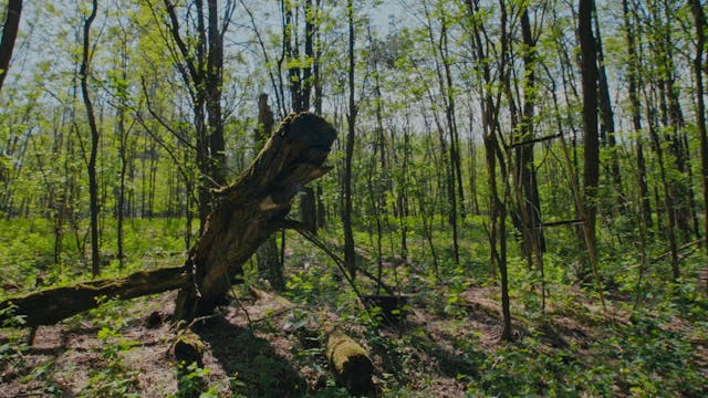 CAMPUS - Pripyat Piano
