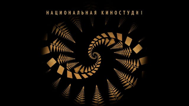 CARTOONS OTB - STARS OF THE SEVENTH SKY - VIDEO