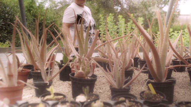 FILMING ITALY - SALVIAMO LA FACCIA