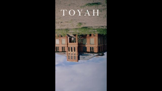 LINEA D'OMBRA 2022 - TOYAH - LDO Marcello De Martino