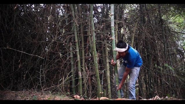 VALDARNO - AT THE CUTTING EDGE [short doc] sub ita