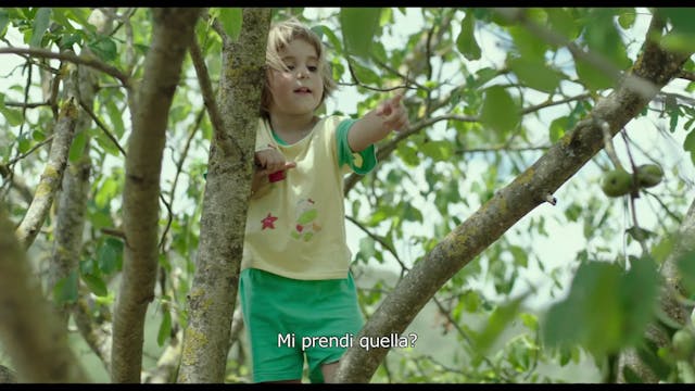 LUX FILM DAYS - Summer 1993