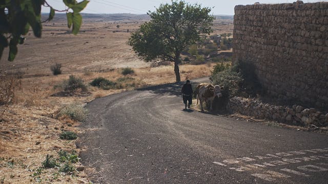 BIOGRAFILM - TheGuardian_H264_10Mbps_FullHD_25p_stereo320k