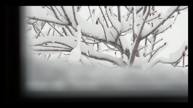 SGUARDI ALTROVE 2021 - Scrivo ad alta voce - Sguardi altrove