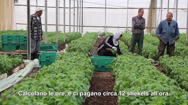 Letizia Lucangeli - 31. Bloody Basil ITA 2