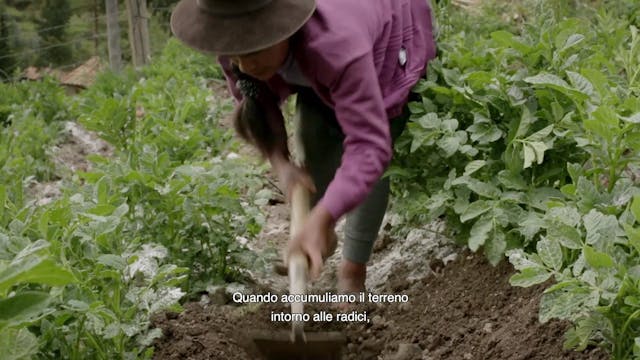 piucompagnia - Sembradoras de vida SUB ITA_FTR_1080p