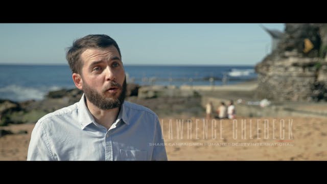 RIVIERA FILM FESTIVAL - HD INTL Envoy Shark Cull