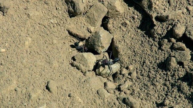 MIDDLE EAST 2022 - earthquake-without-richter-vo