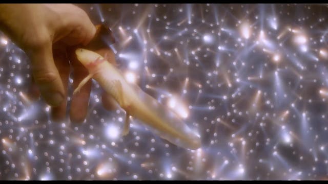 SICILIA QUEER - Le Dragon A Deux Tetes