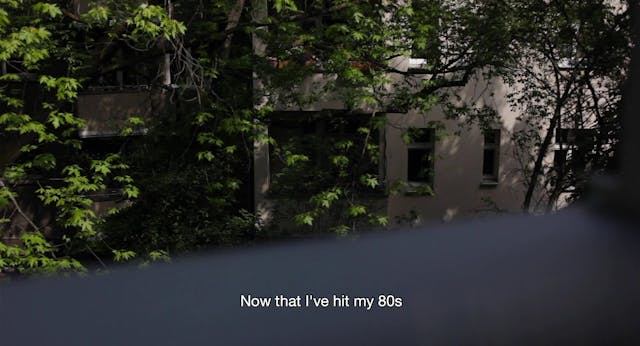 16 CORTO - lievito madre