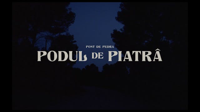 SHORTS 2022 - 52_PODUL DE PIATRA_CLEAN