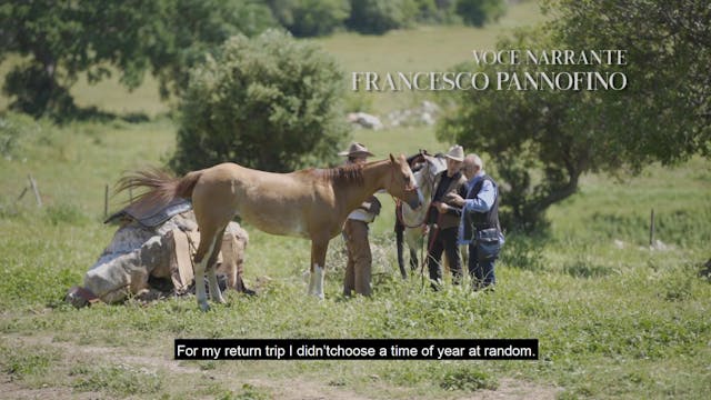 los angeles - DOCUMENTARIO - VACCARI