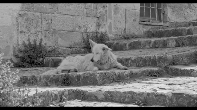 VISIONI DAL MONDO - ITA - FILM - IO SONO IL SOLE