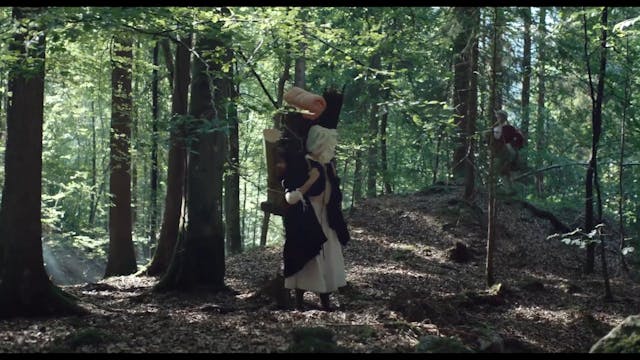 SHORTS - The Trouble With Nature - nuove impronte